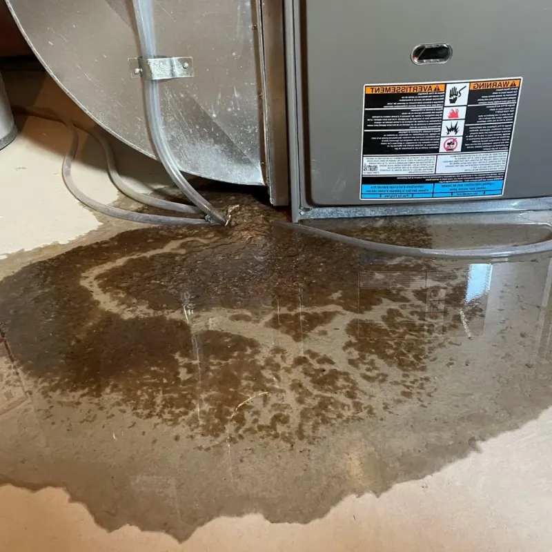 Pipe Burst and Leak Restoration in South Hooksett, NH