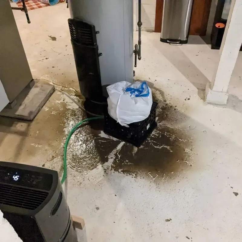 Sewage Backup Cleanup Service in South Hooksett, NH
